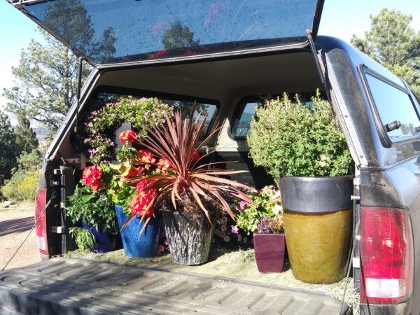 moving day